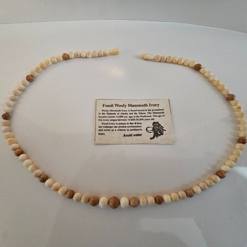 Prehistoric Woolly Mammoth ivory necklace